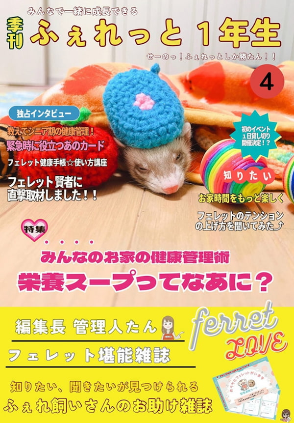 ふぇれっと1年生